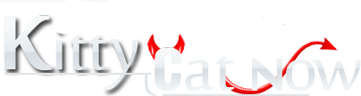 Kitty Cat Now Fort Lauderdale Strippers