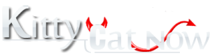 Kitty Cat Now Fort Lauderdale Strippers